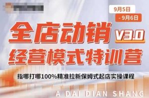 全店动销经营模式特训营,指哪打哪100%精准拉新保姆式起店实操课程-网赚36计