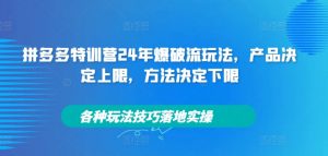 拼多多特训营24年爆破流玩法,产品决定上限,方法决定下限,各种玩法技巧落地实操-网赚36计