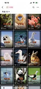 动物科普解说项目，撸创作者伙伴计划收益，保姆级实战教程-网赚36计