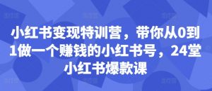 小红书变现特训营，带你从0到1做一个赚钱的小红书号，24堂小红书爆款课-网赚36计