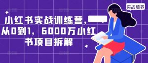 小红书实战训练营，从0到1，6000万小红书项目拆解-网赚36计