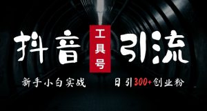 2024最新抖音工具号引流玩法,高效日引300+创业粉,当天变现5k,小白也可成为实战高手-网赚36计