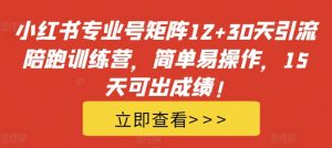 小红书专业号矩阵12+30天引流陪跑训练营,简单易操作,15天可出成绩!-网赚36计