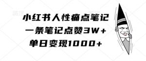 小红书人性痛点笔记,一条笔记点赞3W+,单日变现1k-网赚36计