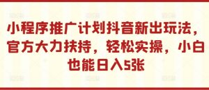 小程序推广计划抖音新出玩法,官方大力扶持,轻松实操,小白也能日入5张【揭秘】-网赚36计