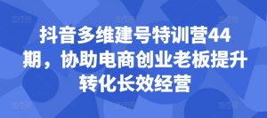 抖音多维建号特训营44期，协助电商创业老板提升转化长效经营-网赚36计