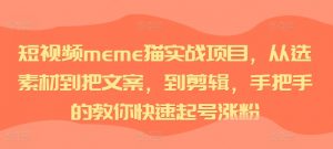 短视频meme猫实战项目，从选素材到把文案，到剪辑，手把手的教你快速起号涨粉-网赚36计