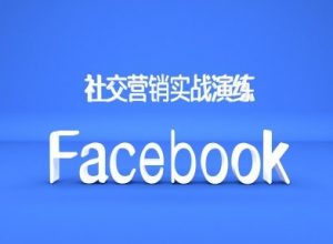 Facebook社交营销实战演练，外贸人绝对不能错过的营销推广平台-网赚36计