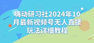 嗨动研习社2024年10月最新视频号无人直播玩法详细教程-网赚36计