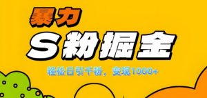 单人单机日引千粉，变现1k+，S粉流量掘金计划攻略【揭秘】-网赚36计