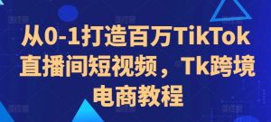 从0-1打造百万TikTok直播间短视频，Tk跨境电商教程-网赚36计