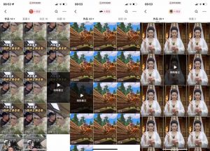 狗熊岭快手连怼技术，好物，涨粉都可以连怼-网赚36计