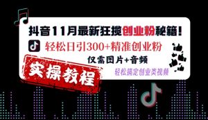 抖音11月最新狂揽创业粉秘籍,轻松日引300+精准创业粉,仅需图片+音频,轻松搞定创业类视频-网赚36计