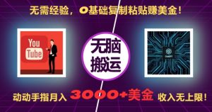 无需经验，0基础复制粘贴赚美刀，动动手指，月入3000+刀，无上限【揭秘】-网赚36计
