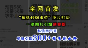 小红书“预算4980带我飞”图片打法，一张图片引爆创业粉，私信回不完，单条引流300+精准创业粉-网赚36计