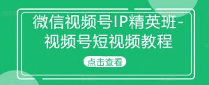 微信视频号IP精英班-视频号短视频教程-网赚36计