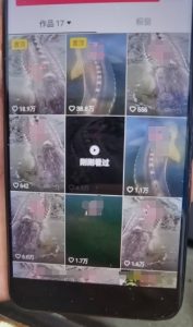 外面卖399的国学佛像原创暴力起号技术,快速起号,7天可达到一个万粉号-网赚36计