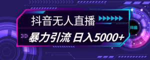 抖音快手视频号全平台通用无人直播引流法,利用图片模板和语音话术,暴力日引流100+创业粉【揭秘】-网赚36计