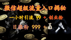 微信超级流量入口揭秘:一小时引流 99 + 创业粉,日涨粉 999 +-网赚36计