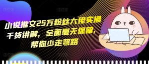 小说推文25万粉丝大佬实操干货讲解，全面毫无保留，帮你少走弯路-网赚36计