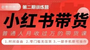 小Red书带货42天训练营 2.0版,宝妈+自由职+上班族+大学生,提高副业收入的大红利项目-网赚36计