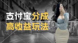 支付宝分成计划新玩法，利用交通事故视频，赚收益，轻松月入过W，操作简单【揭秘】-网赚36计