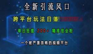 全新引流风口,跨平台玩法日入上k,单日狂揽200+精准创业粉,一个被严重忽略的视频平台-网赚36计