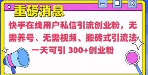快手最新引流创业粉方法,无需养号、无需视频、搬砖式引流法【揭秘】-网赚36计