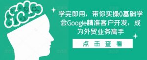 学完即用,带你实操0基础学会Google精准客户开发,成为外贸业务高手-网赚36计