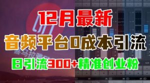 12月最新：音频平台0成本引流，日引流300+精准创业粉-网赚36计