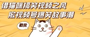 借猫咪搞笑视频之风,掀视频号爆笑故事潮,轻松日入四位数,无门槛快速入门!-网赚36计