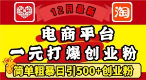 12月最新:电商平台1元打爆创业粉,简单粗暴日引500+精准创业粉,轻松月入过W【揭秘】-网赚36计