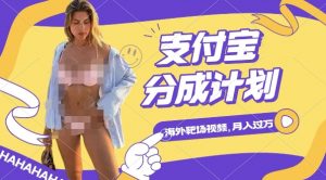 利用海外靶场射击视频,挣支付宝分成收益,轻松月入过W【揭秘】-网赚36计