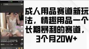 成人用品赛道新玩法,情趣用品一个长期暴利的赛道,3个月收益20个【揭秘】-网赚36计