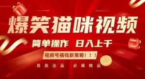 爆笑猫咪视频:简单操作,日入过K,视频号搞钱新策略【揭秘】-网赚36计