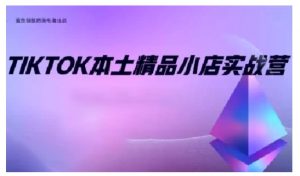 TikTok本土精品小店出海实战营,从入门到高阶,不止0-1!-网赚36计