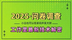 2025问卷调查最新工作室技术解密：一个人在家也可以闷声发大财，小白一天2张，可矩阵放大【揭秘】-网赚36计