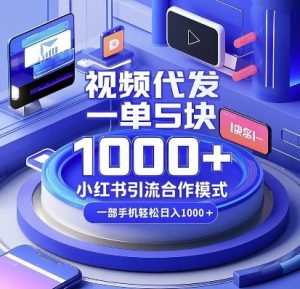 视频代发，一单5块，小红书引流合作模式，一部手机轻松日入多张【揭秘】-网赚36计