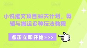 小说推文项目38天计划，剪辑与搬运多种玩法教程-网赚36计