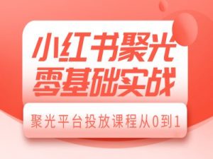 小红书聚光零基础实战,聚光平台投放课程从0到1-网赚36计