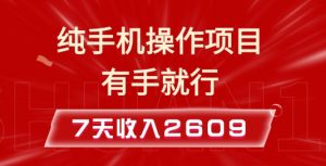 纯手机操作的小项目,有手就能做,7天收入2609+实操教程【揭秘】-网赚36计
