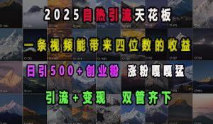 2025自热引流天花板，一条视频能带来四位数的收益，引流+变现双管齐下，日引500+创业粉，涨粉嘎嘎猛-网赚36计