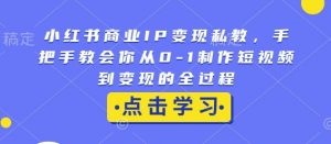 小红书商业IP变现私教,手把手教会你从0-1制作短视频到变现的全过程-网赚36计