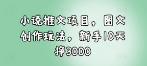 小说推文项目，图文创作玩法，新手10天挣3000-网赚36计
