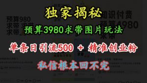 预算3980求带 图片玩法,单条日引流500+精准创业粉,私信根本回不完-网赚36计