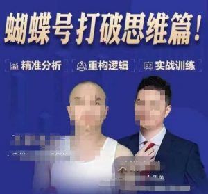 天诺老吴蝴蝶号50节线上课,蝴蝶号打破思维篇-网赚36计