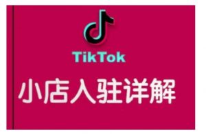 TikTok跨境小店运营全攻略,帮助你独立运营TK跨境小店的能力,实现销量增长-网赚36计