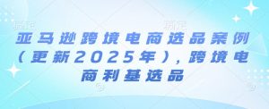亚马逊跨境电商选品案例(更新2025年)，跨境电商利基选品-网赚36计
