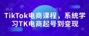 TikTok电商课程，​系统学习TK电商起号到变现-网赚36计