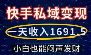 一天收入1691.5，快手私域变现，小白也能闷声发财-网赚36计